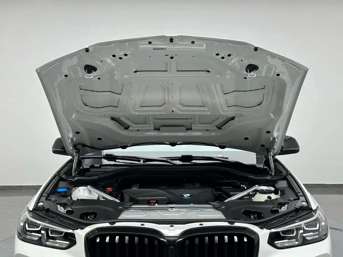 BMW X3 2022 xDrive30i Leading Edition M Sport Package — миниатюра 26