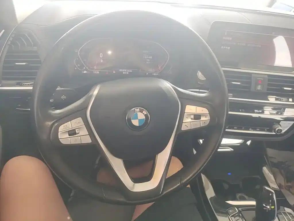 BMW X3 2020 xDrive25i Luxury Package — миниатюра 11