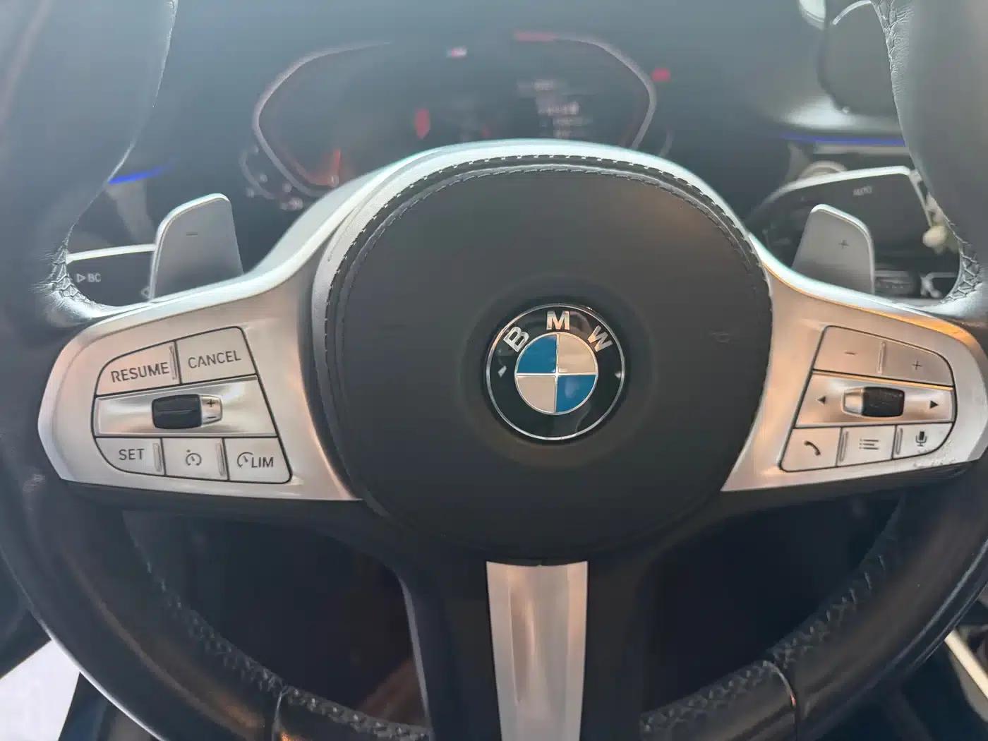 2021 BMW 7 Series 730Li M Sport Package — миниатюра 10