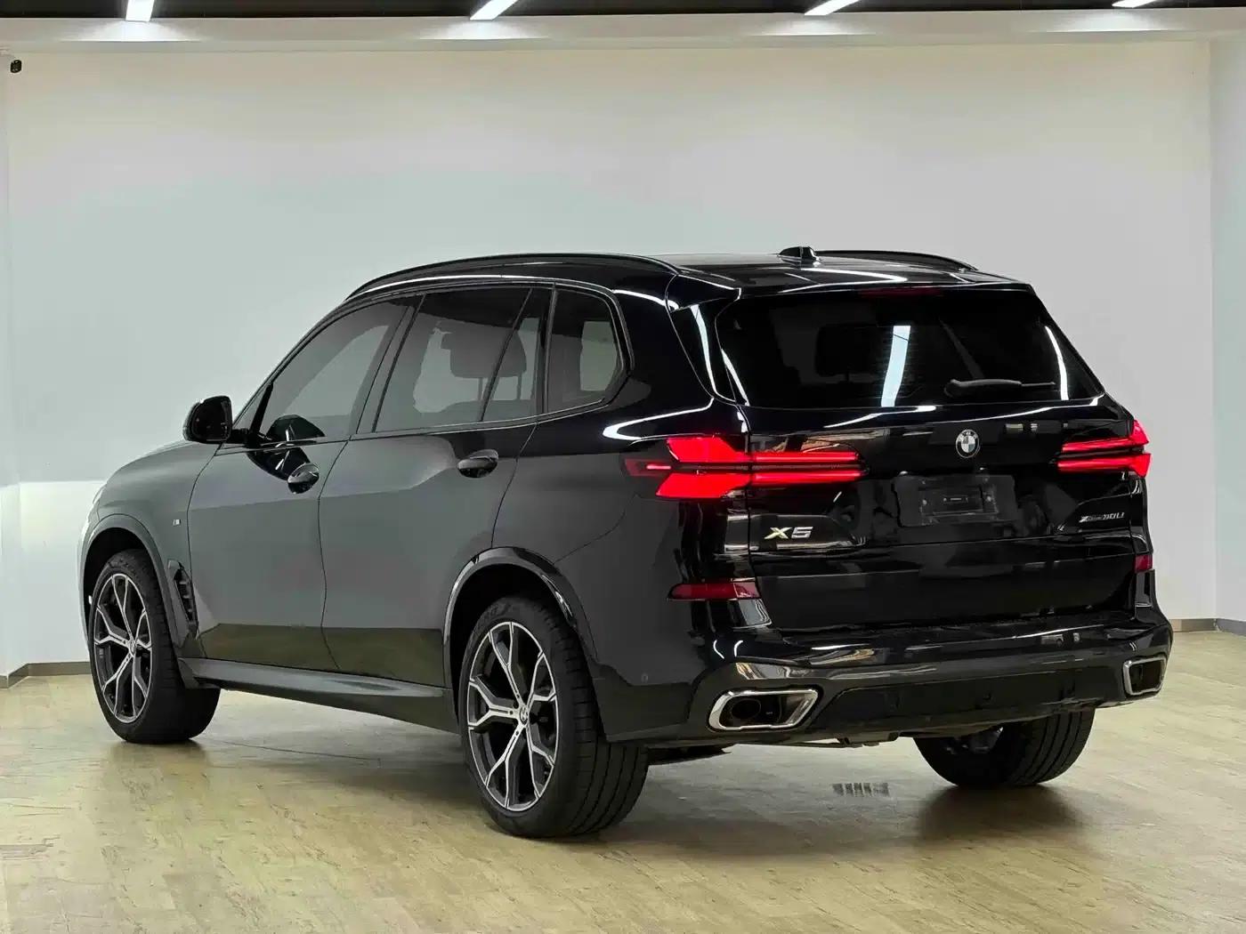 BMW X5 2023 xDrive 30Li Luxury M Sport Package — миниатюра 4