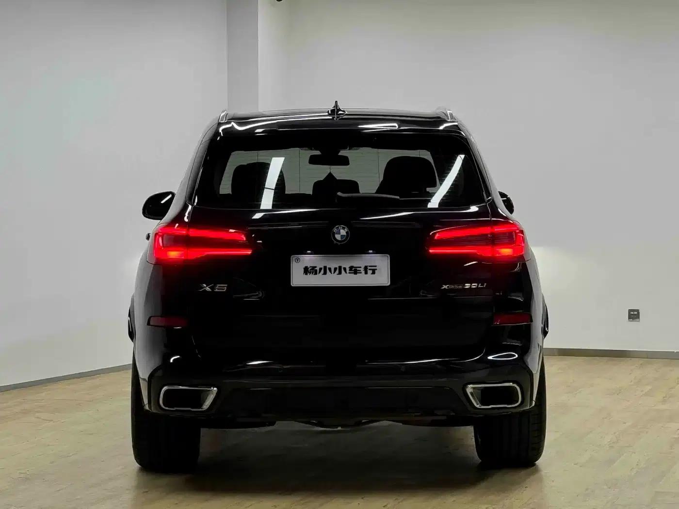 BMW X5 2022 Facelift xDrive 30Li M Sport Package — миниатюра 29