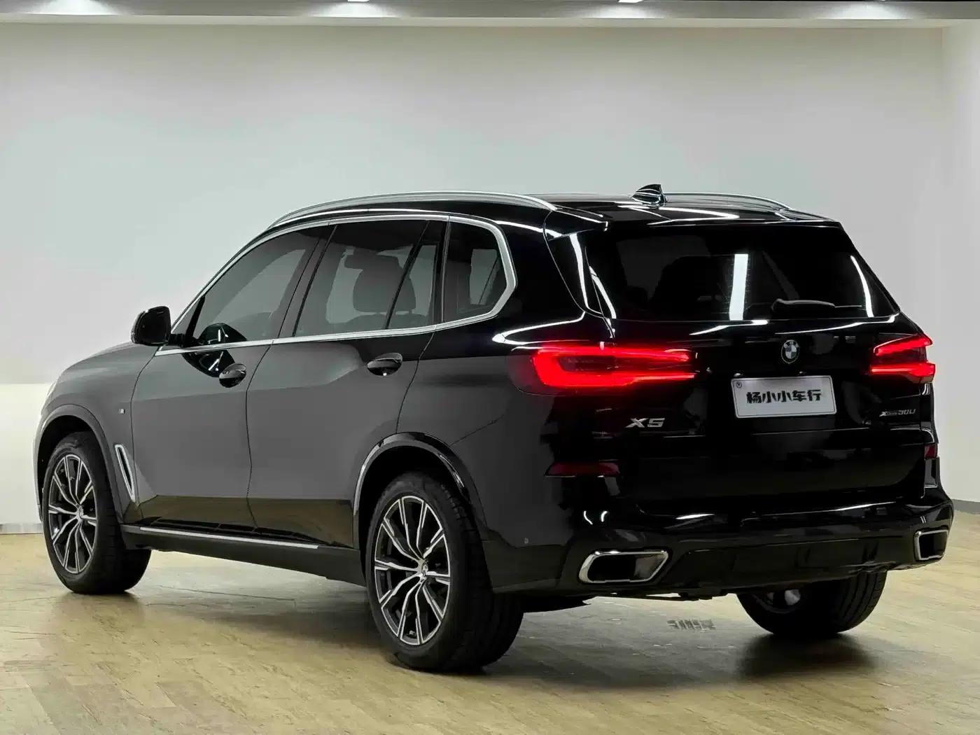 BMW X5 2022 Facelift xDrive 30Li M Sport Package — миниатюра 30