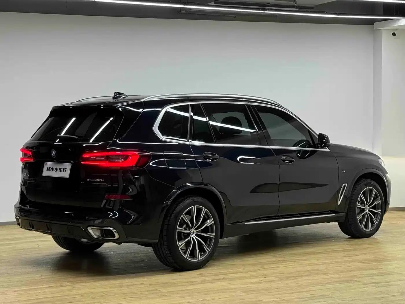 BMW X5 2022 Facelift xDrive 30Li M Sport Package — миниатюра 31