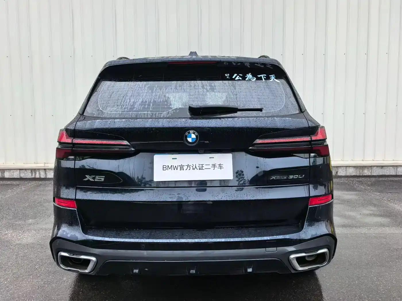 BMW X5 2025 xDrive 30Li M Sport Shadow Edition — миниатюра 8