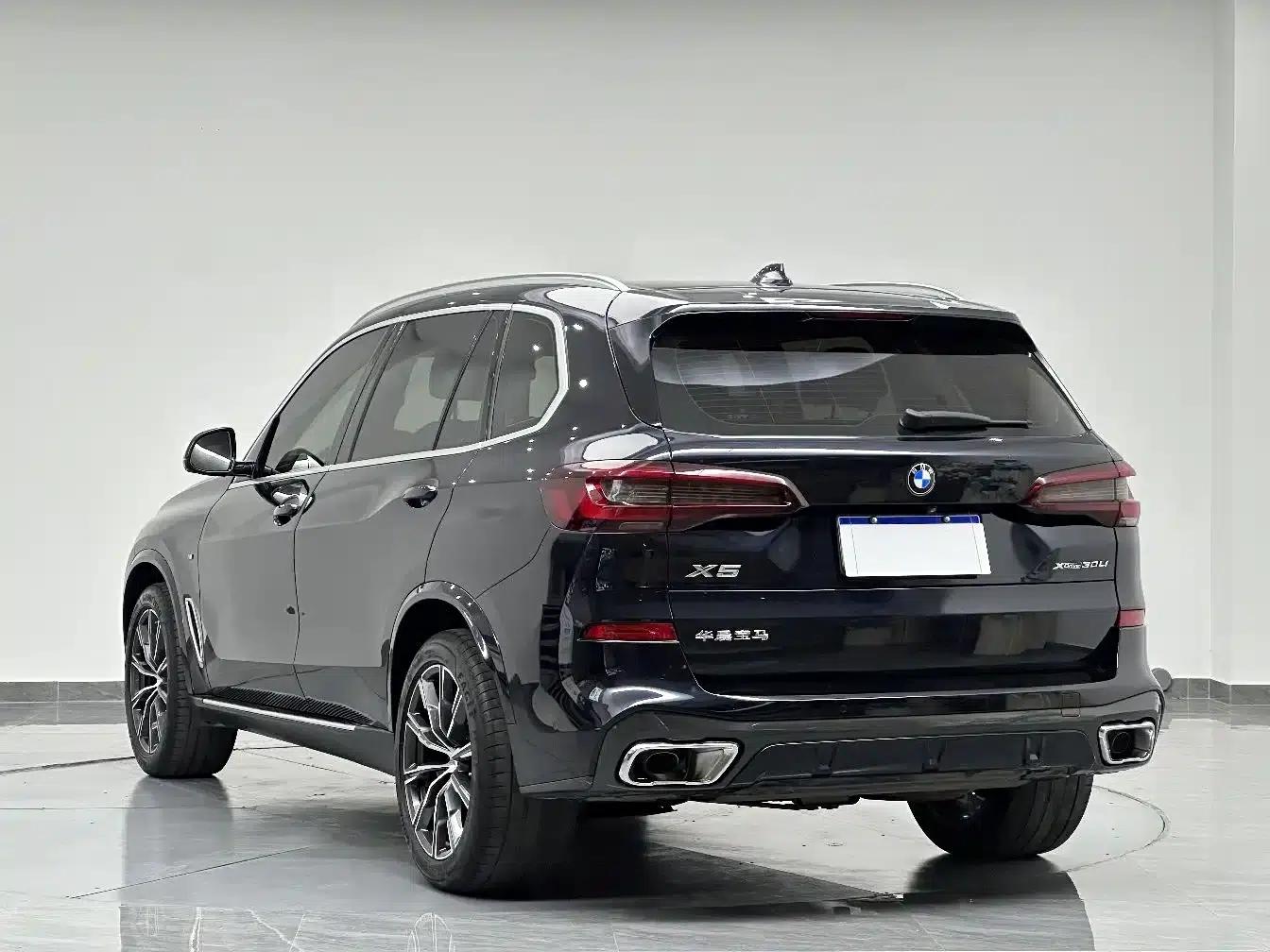 BMW X5 2022 xDrive 30Li Luxury M Sport Package — миниатюра 6