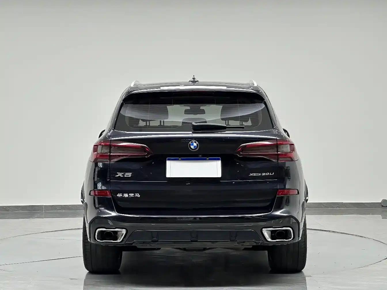 BMW X5 2022 xDrive 30Li Luxury M Sport Package — миниатюра 7