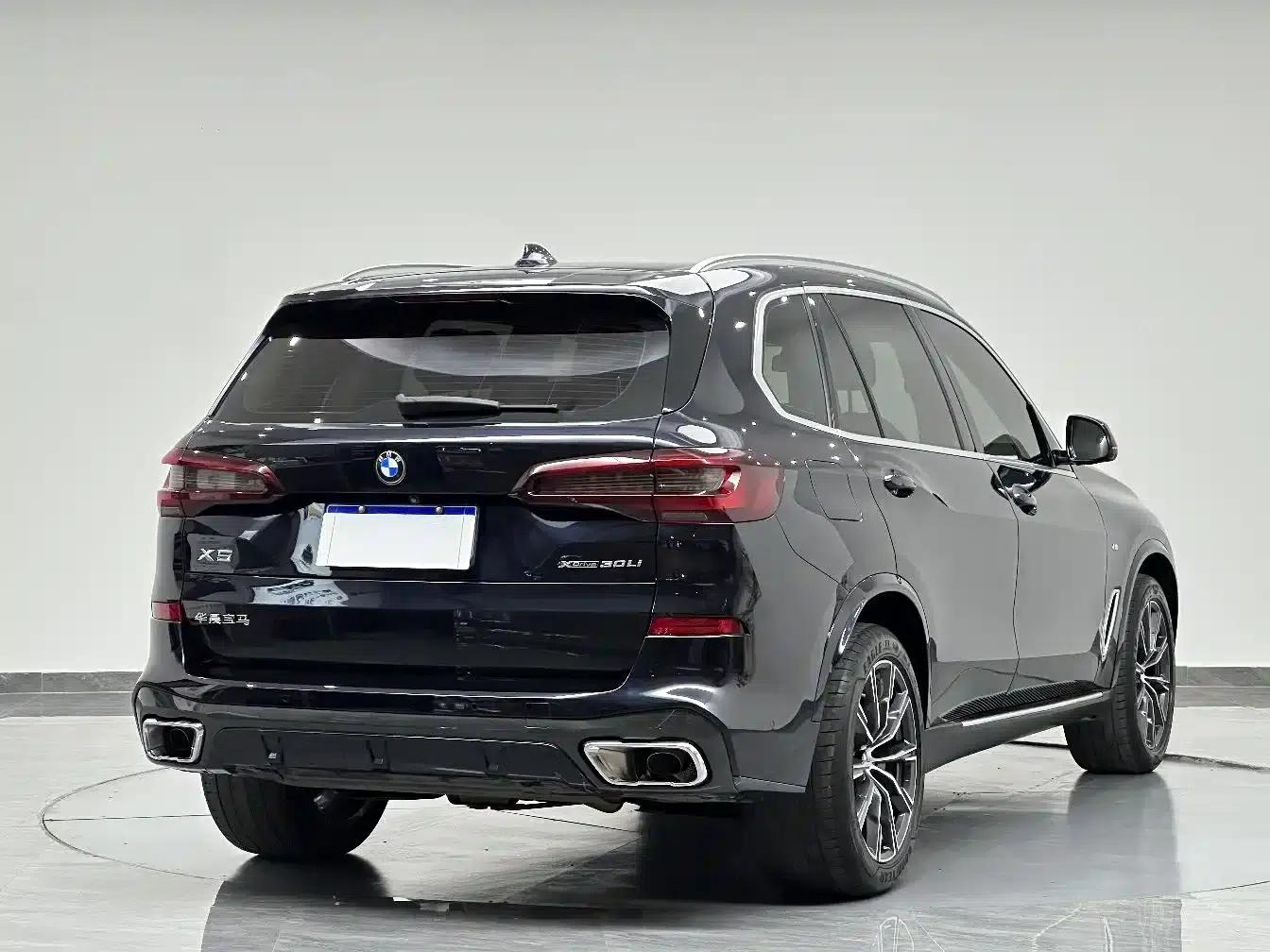 BMW X5 2022 xDrive 30Li Luxury M Sport Package — миниатюра 8