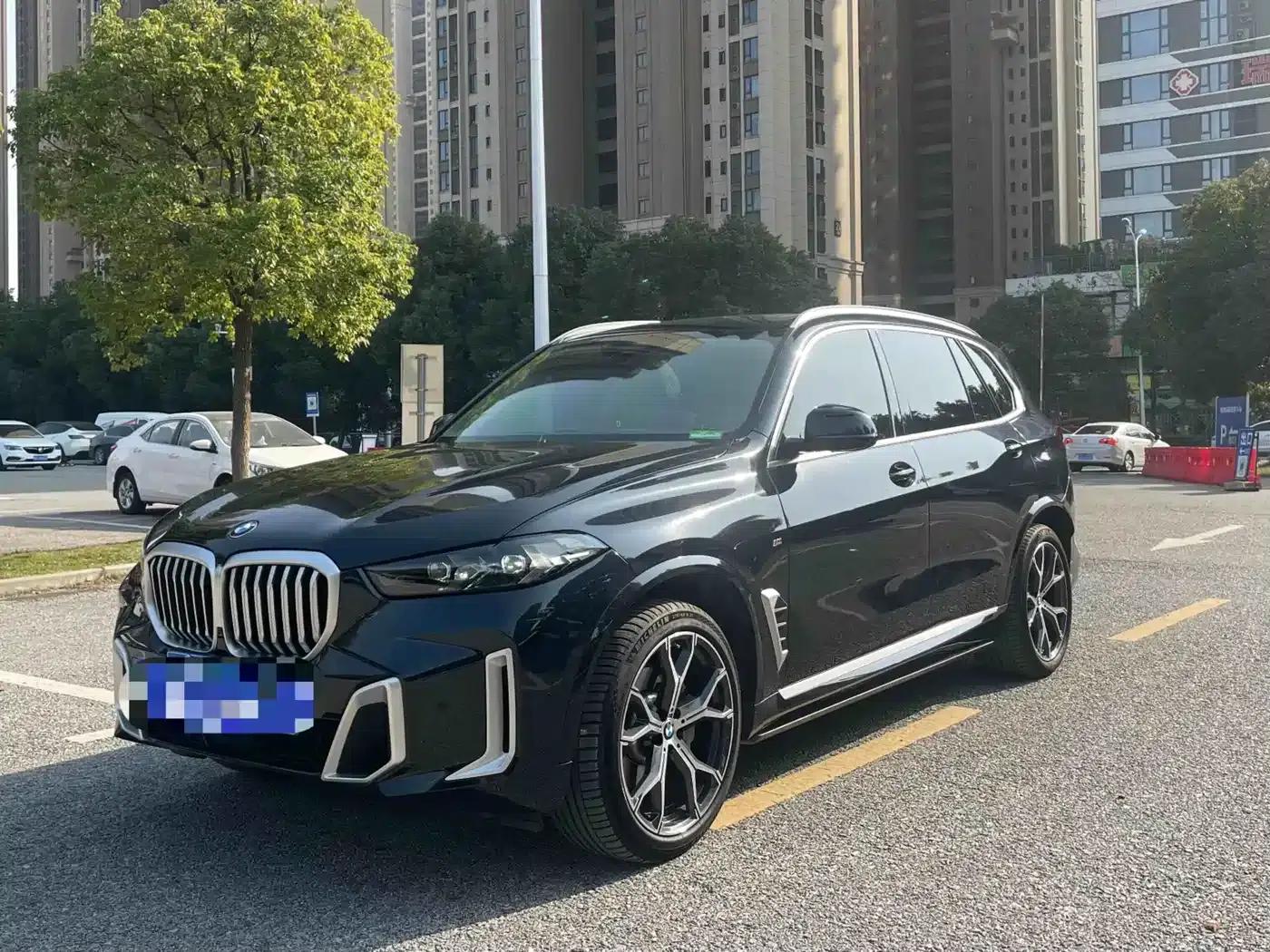 BMW X5 2023 xDrive 30Li Luxury M Sport Package — миниатюра 1