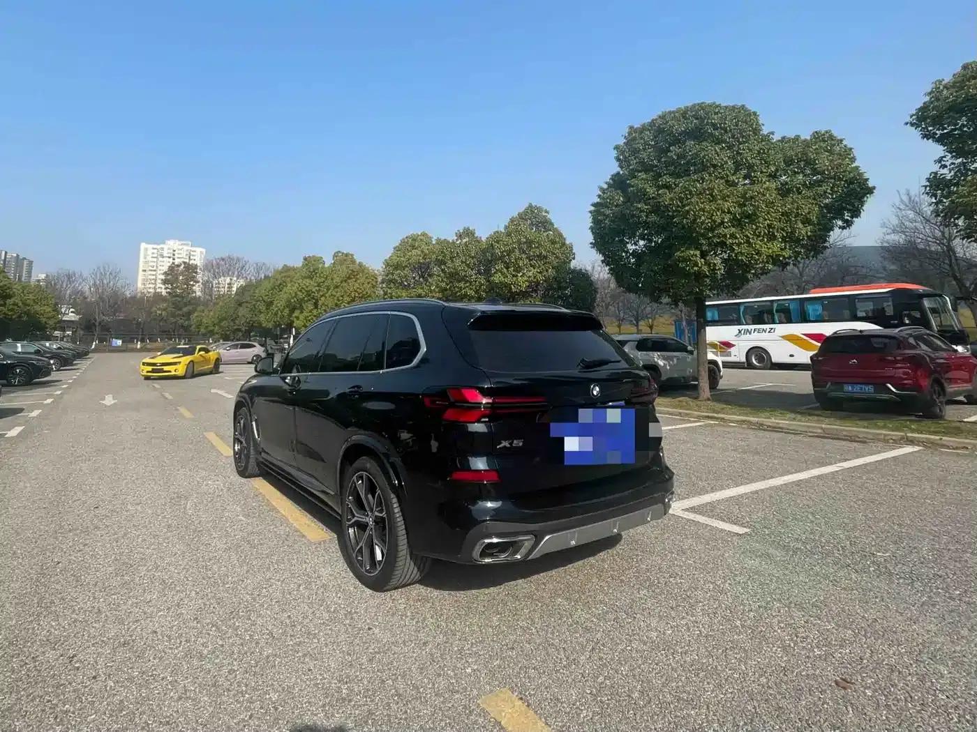 BMW X5 2023 xDrive 30Li Luxury M Sport Package — миниатюра 10