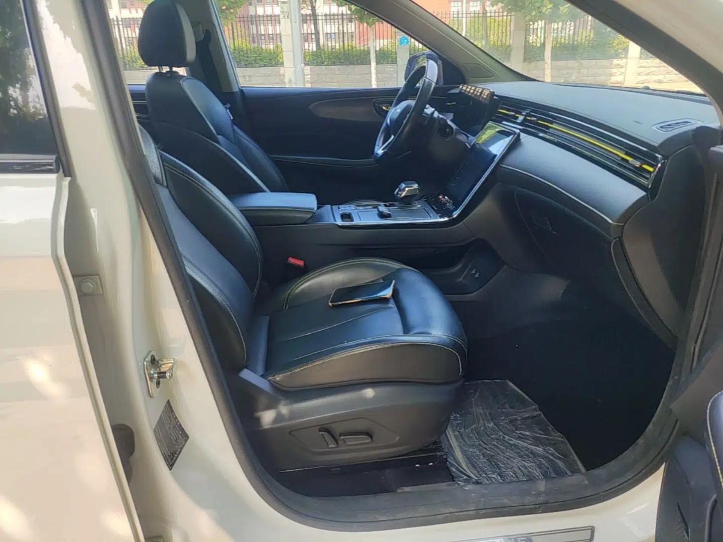 Roewe RX5 New Energy 2021 ePLUS National Trend Ronglin Luxury Edition — миниатюра 24