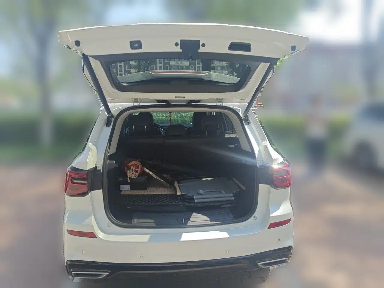 Roewe RX5 New Energy 2020 ePLUS National Trend Ronglin Luxury Edition — миниатюра 19