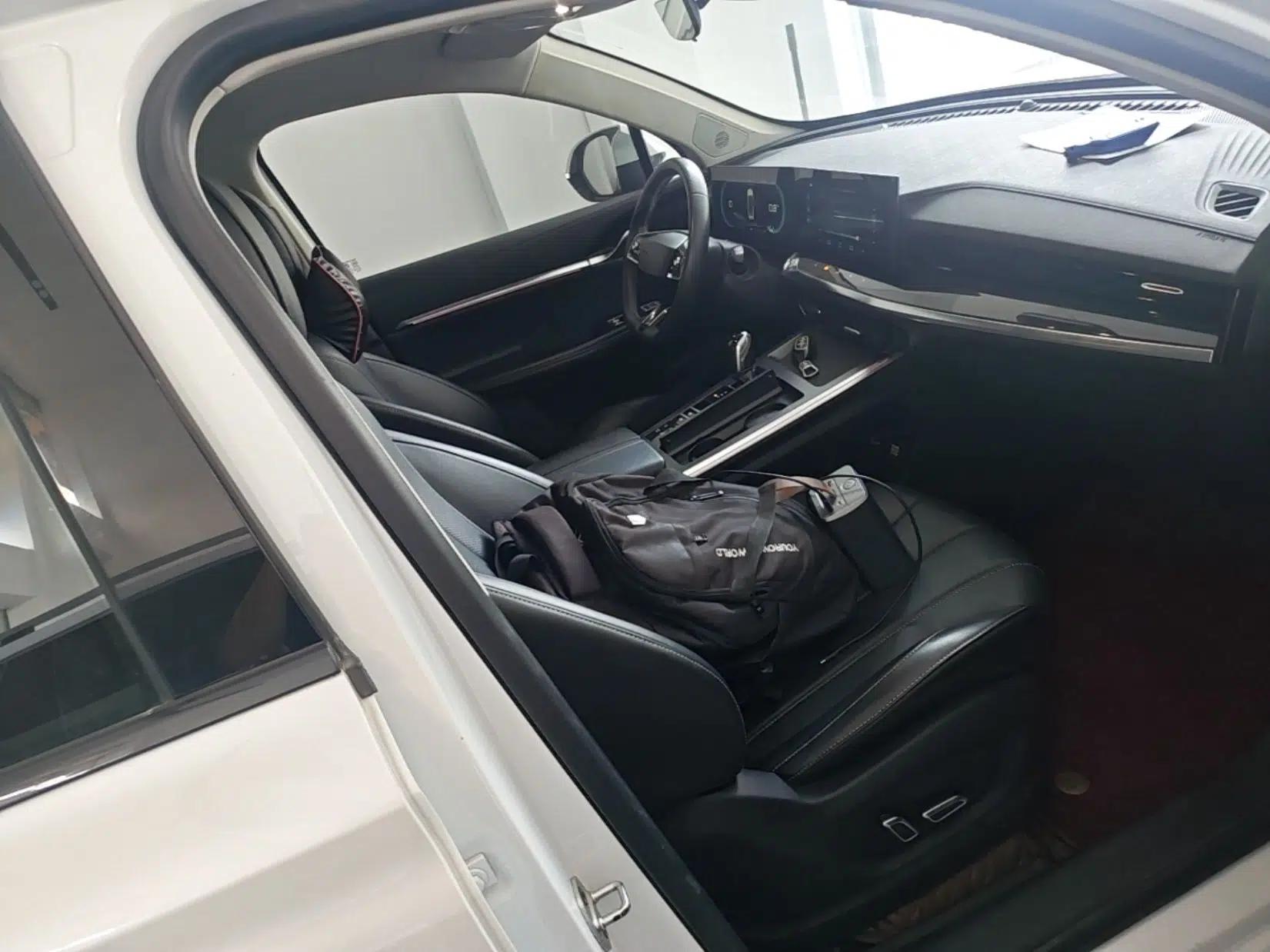 Roewe RX5 MAX 2022 1.5T Automatic Zhiwei Prestige Edition — миниатюра 19
