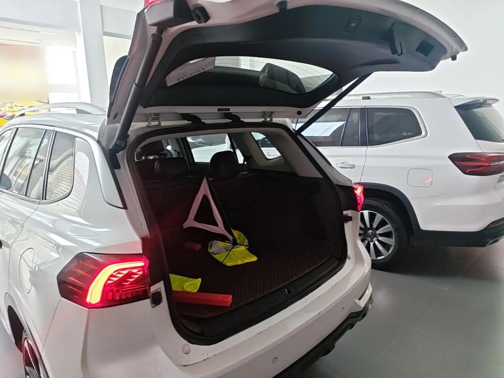 Roewe RX5 MAX 2022 1.5T Automatic Zhiwei Prestige Edition — миниатюра 22
