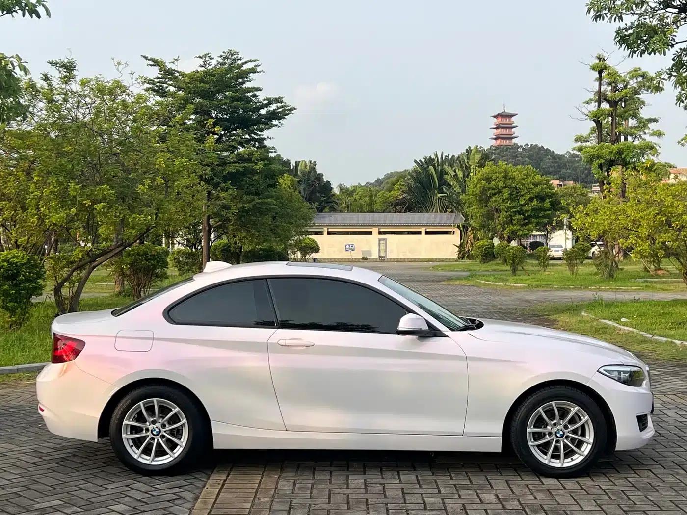 2015 BMW 2 Series (Imported) 218i — миниатюра 4