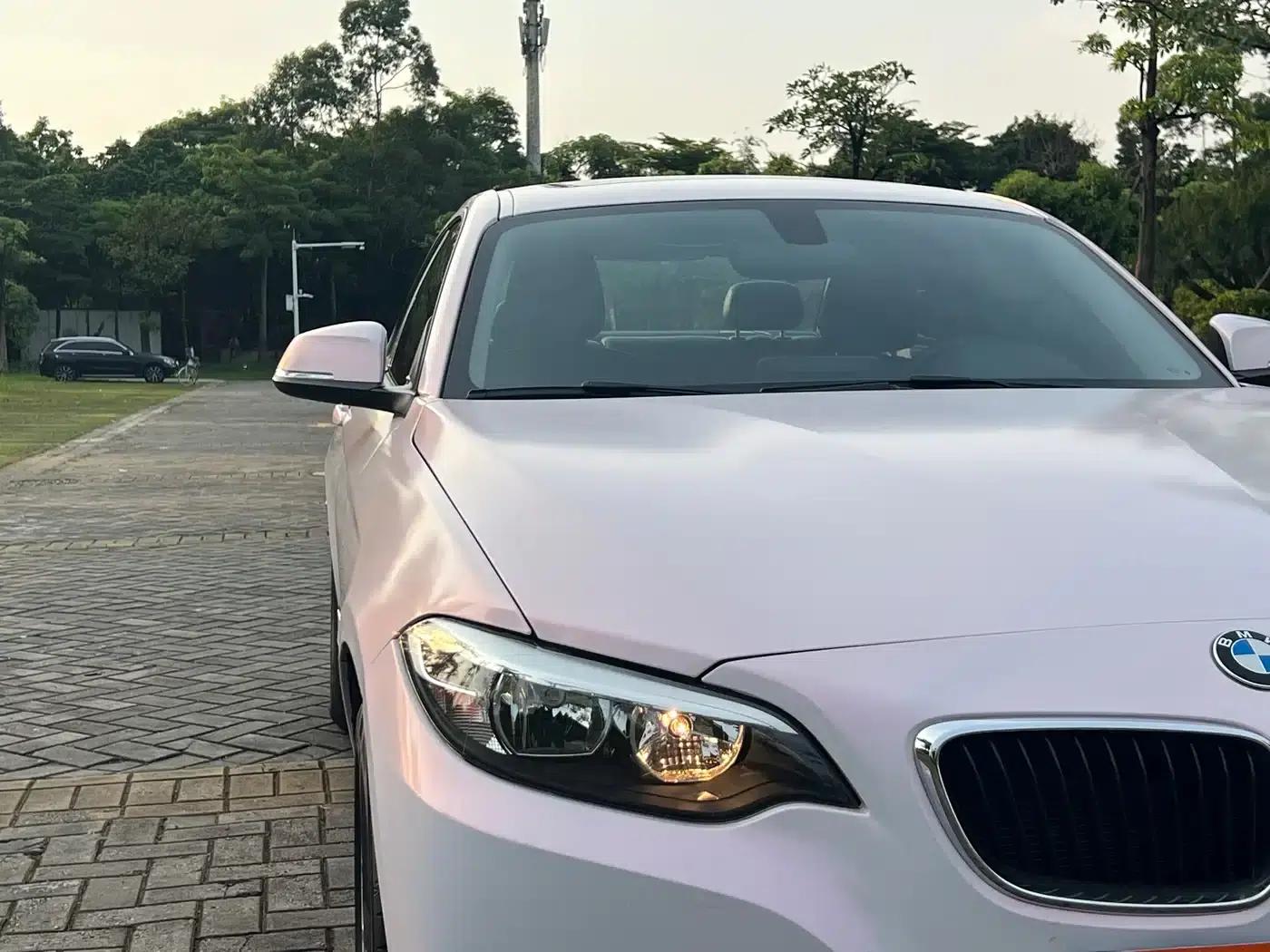 2015 BMW 2 Series (Imported) 218i — миниатюра 5