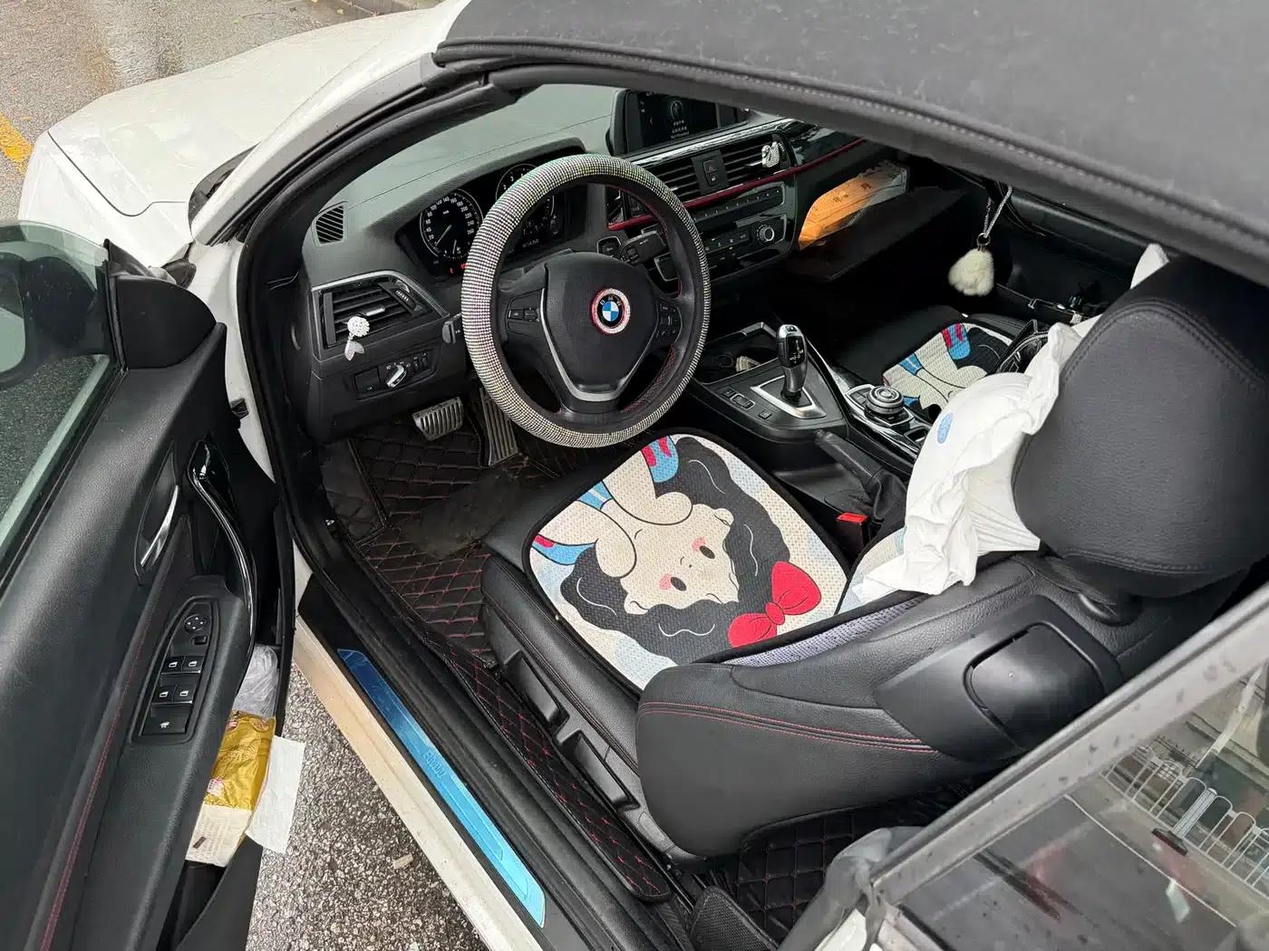 2018 BMW 2 Series Imported 220i Convertible Coupe with Sport Design Package — миниатюра 11