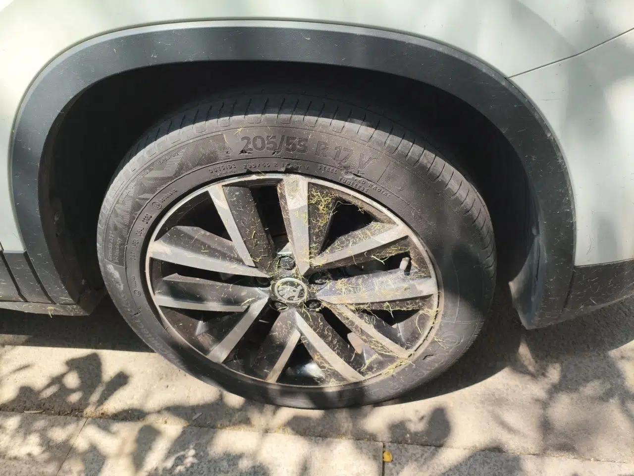 Skoda Kamiq 2020 1.5L Automatic Comfort Edition — миниатюра 8