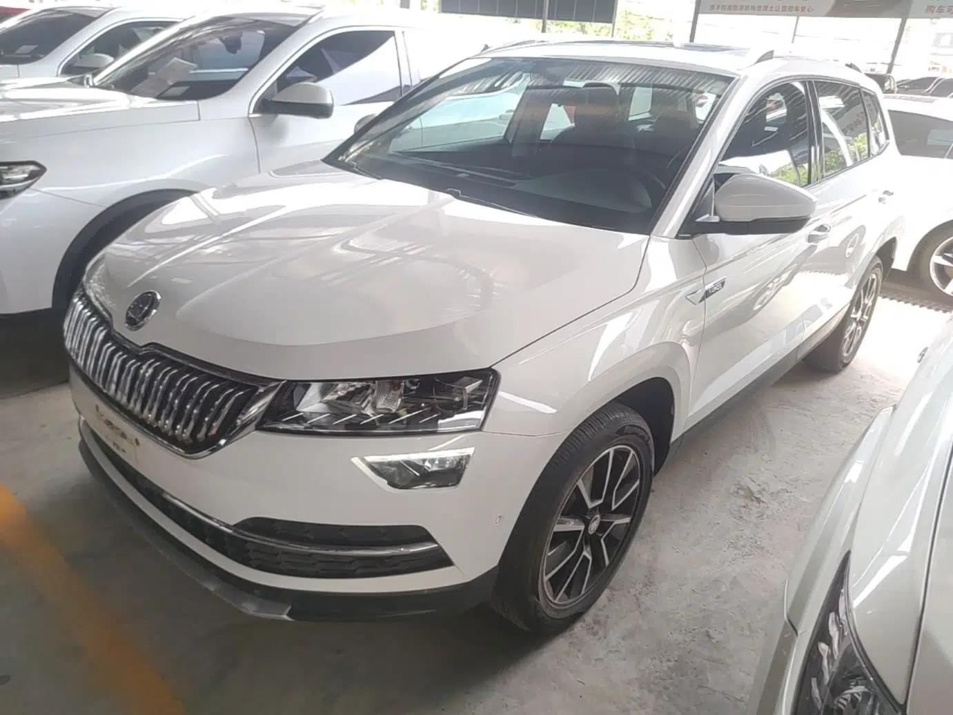 Skoda Karoq 2019 TSI280 Smart Drive Elite Edition China V Standard — миниатюра 1