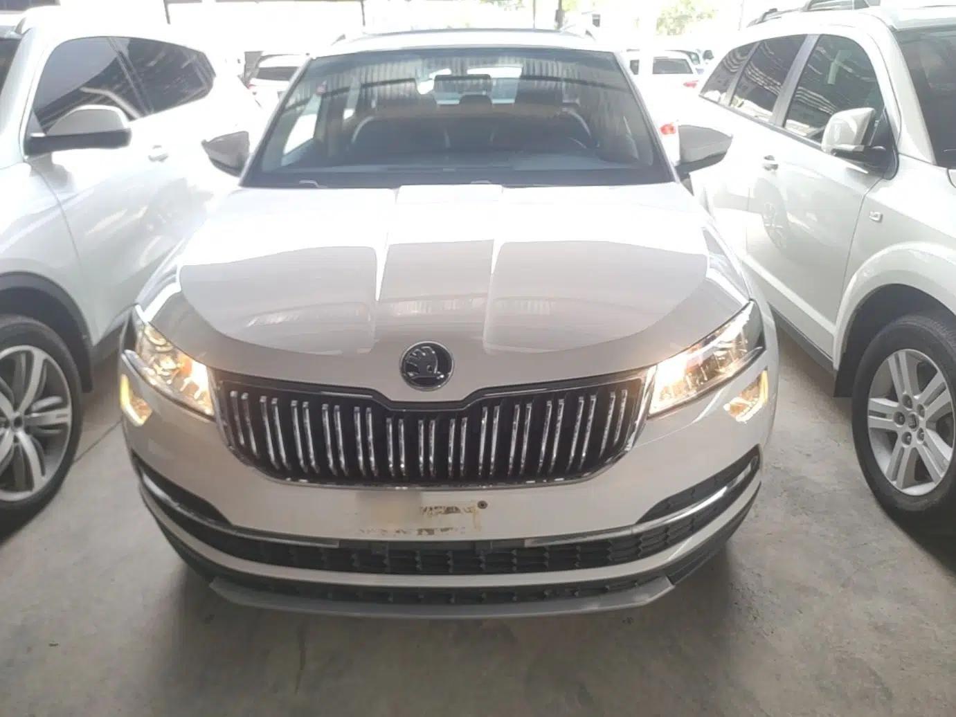 Skoda Karoq 2019 TSI280 Smart Drive Elite Edition China V Standard — миниатюра 2