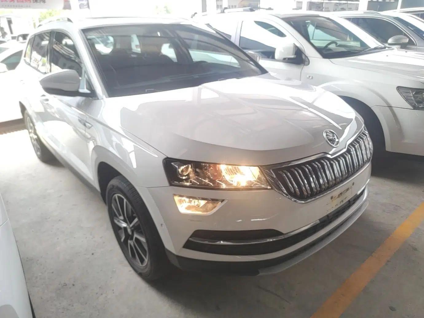 Skoda Karoq 2019 TSI280 Smart Drive Elite Edition China V Standard — миниатюра 12