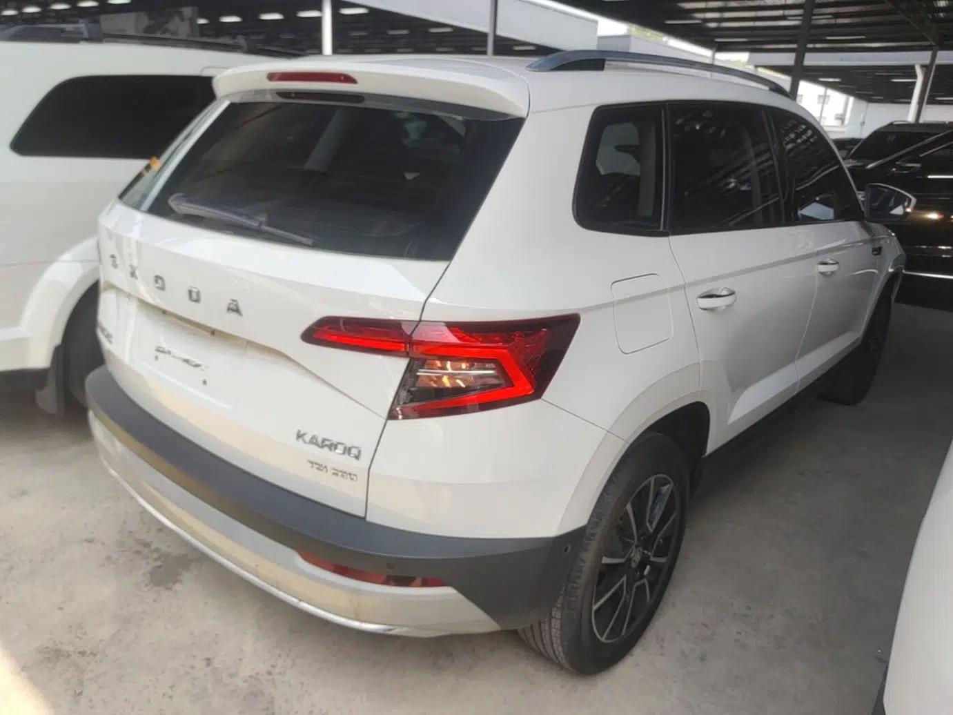 Skoda Karoq 2019 TSI280 Smart Drive Elite Edition China V Standard — миниатюра 6