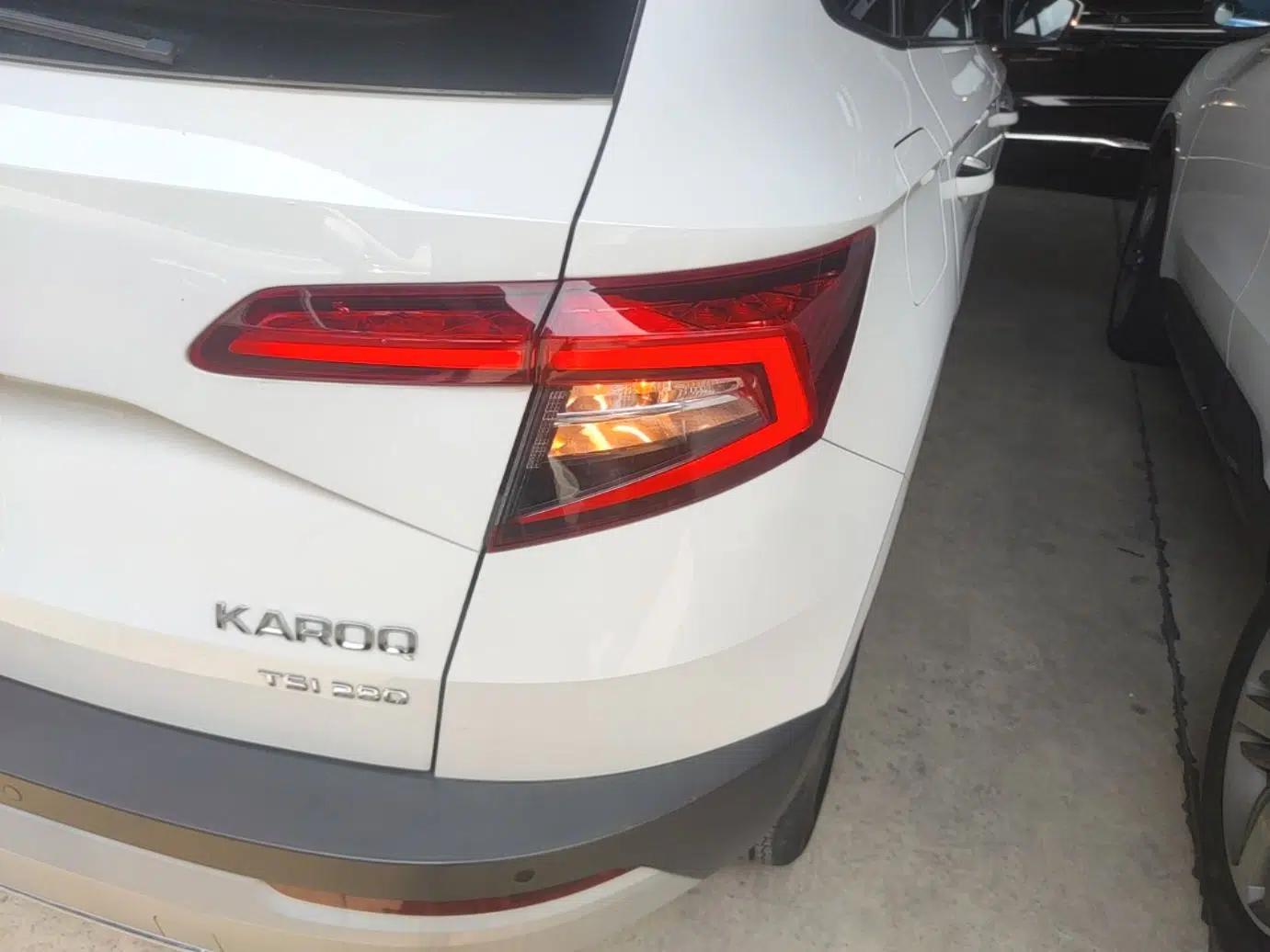 Skoda Karoq 2019 TSI280 Smart Drive Elite Edition China V Standard — миниатюра 9