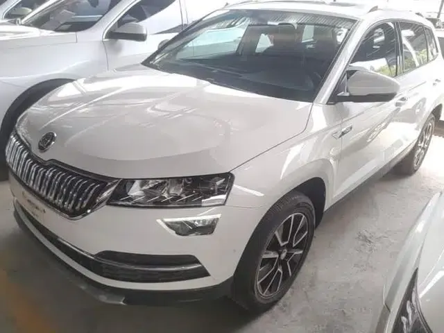 Skoda Karoq 2019 TSI280 Smart Drive Elite Edition China V Standard