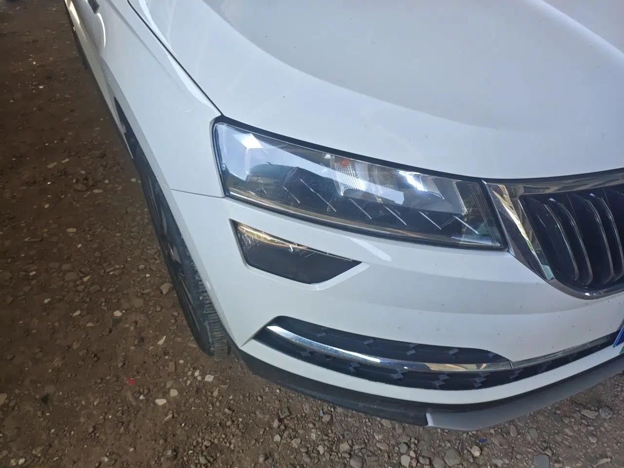 Skoda Karoq 2021 TSI280 Luxury Edition — миниатюра 7