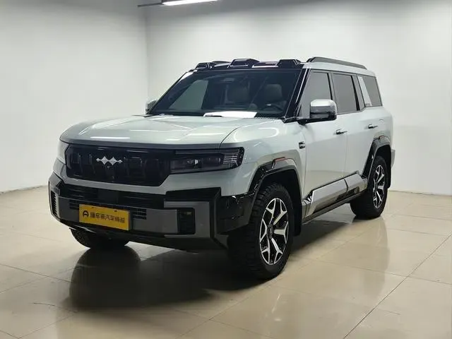 Leopard 8 2025 Smart & Brave Flagship Edition 6-seater