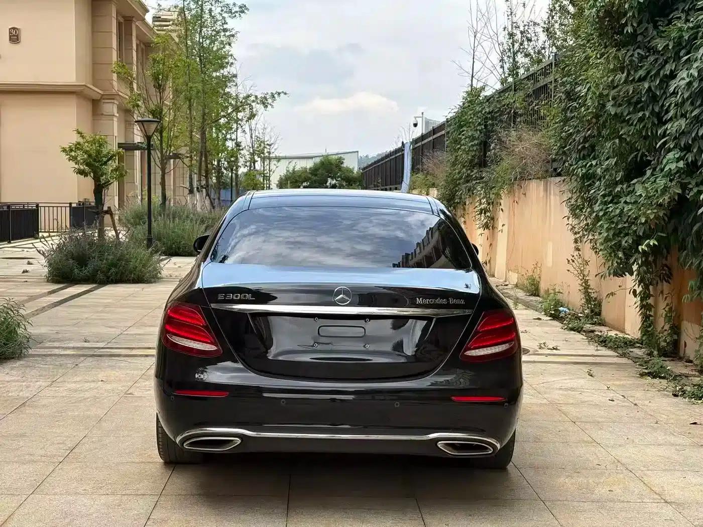 Mercedes-Benz E-Class 2019 Facelift E 300 L Fashion Model — миниатюра 8