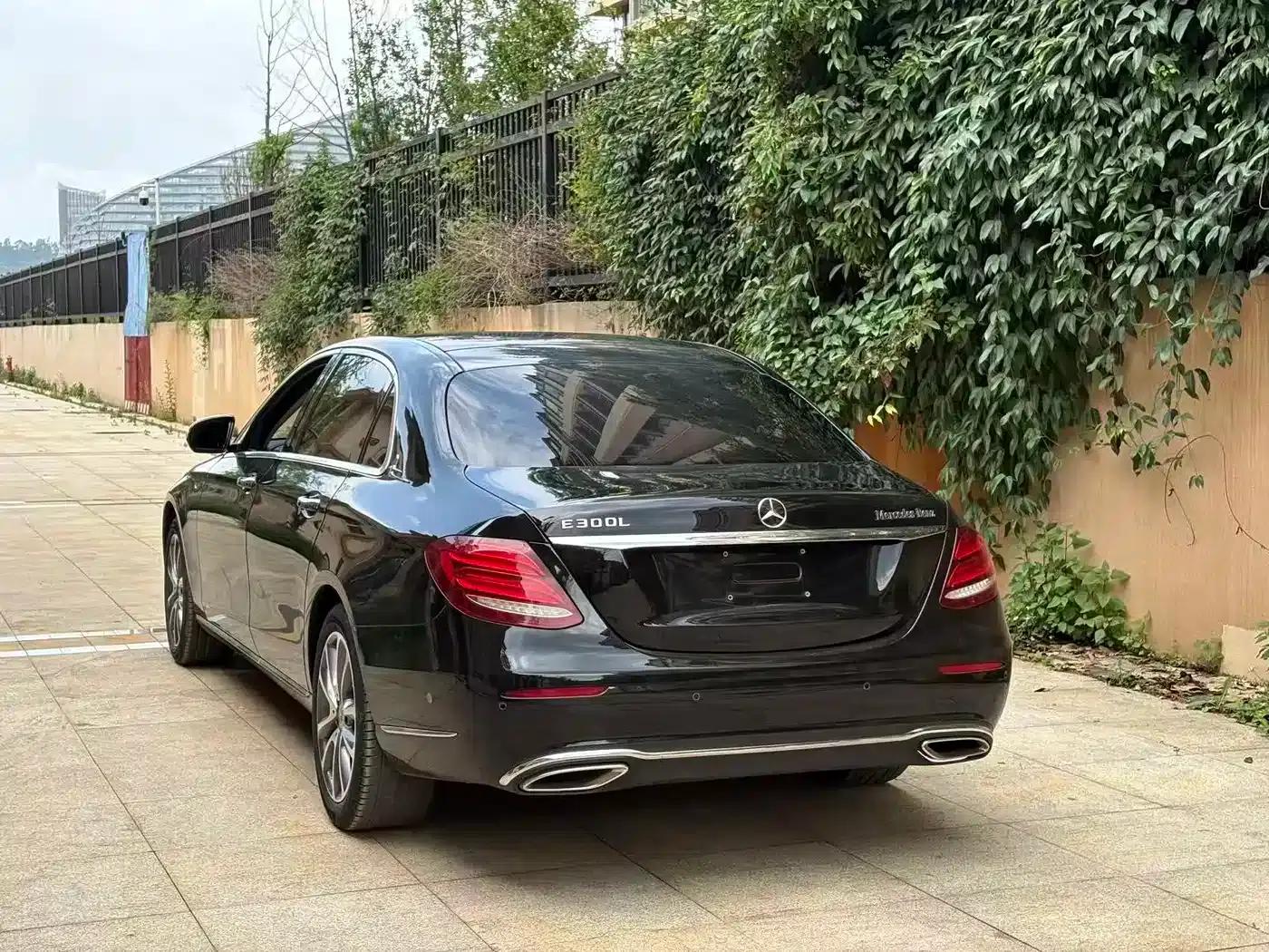 Mercedes-Benz E-Class 2019 Facelift E 300 L Fashion Model — миниатюра 9