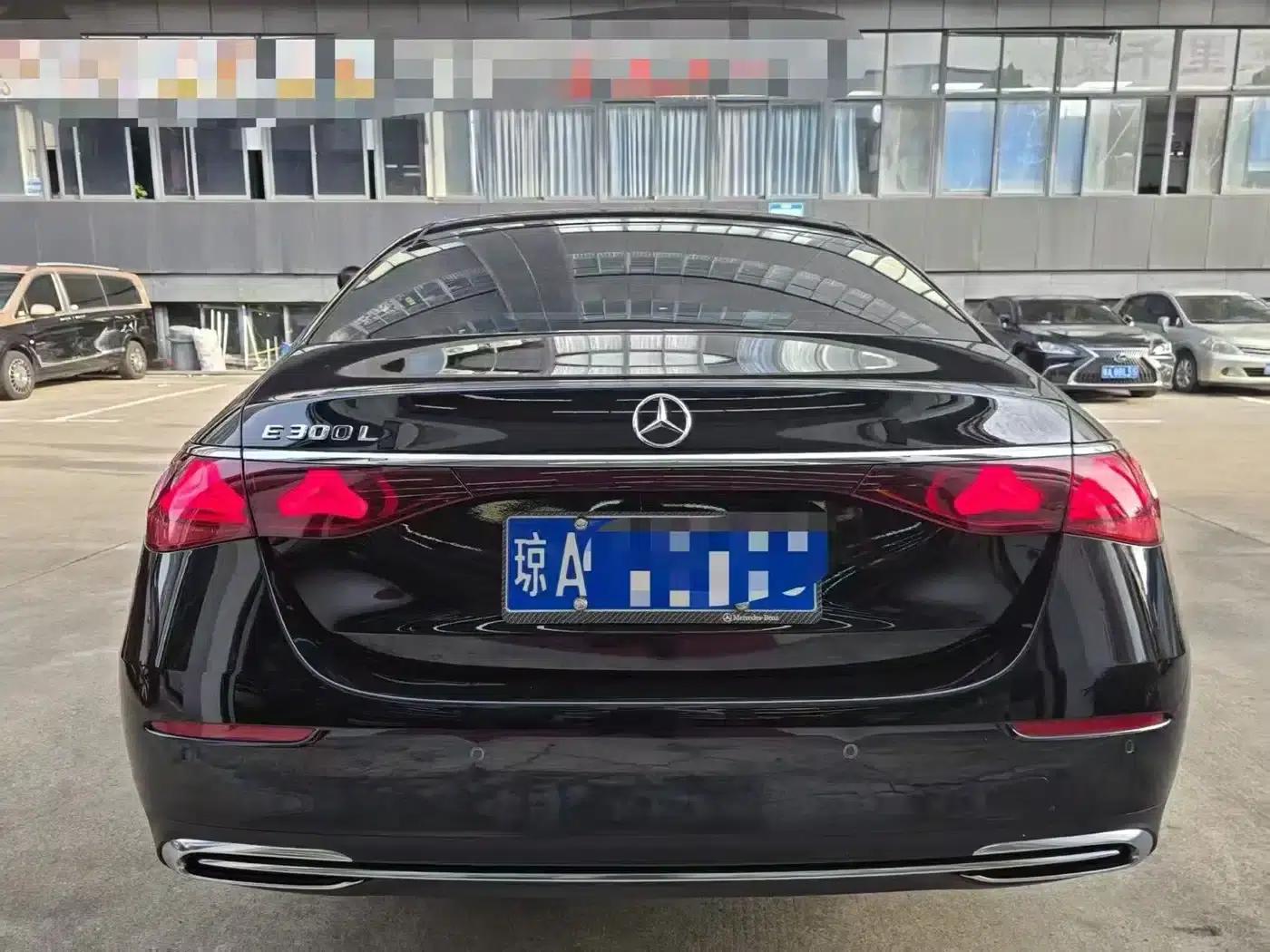 2025 Mercedes-Benz E-Class E 300 L Luxury — миниатюра 8