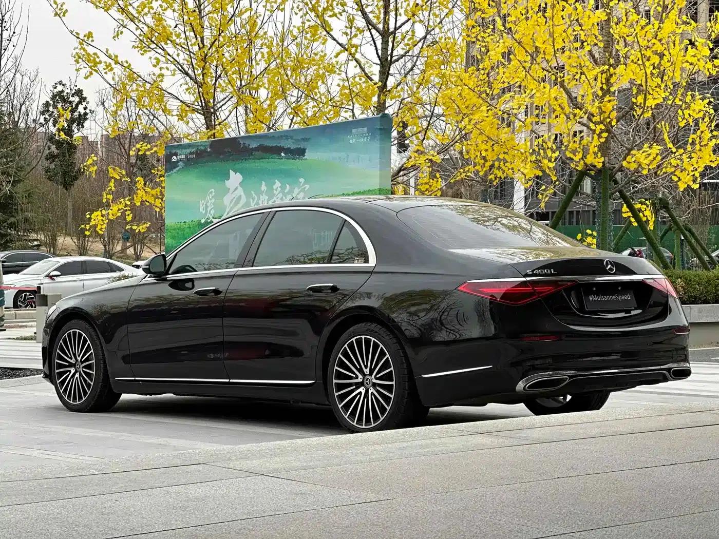 Mercedes-Benz S-Class 2022 S 400 L Business Edition — миниатюра 16