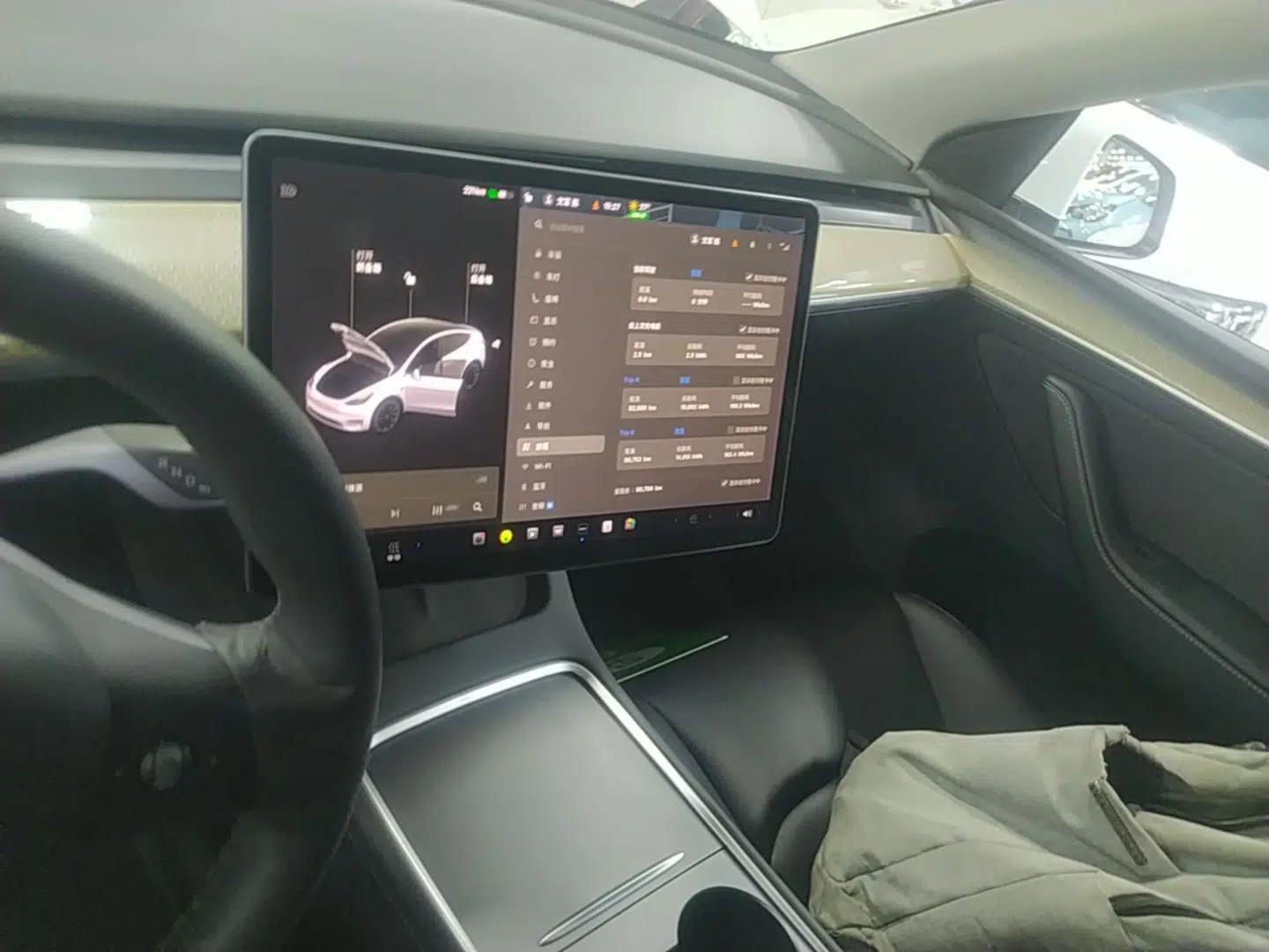 Tesla Model Y 2021 Long-Range All-Wheel-Drive Version — миниатюра 20