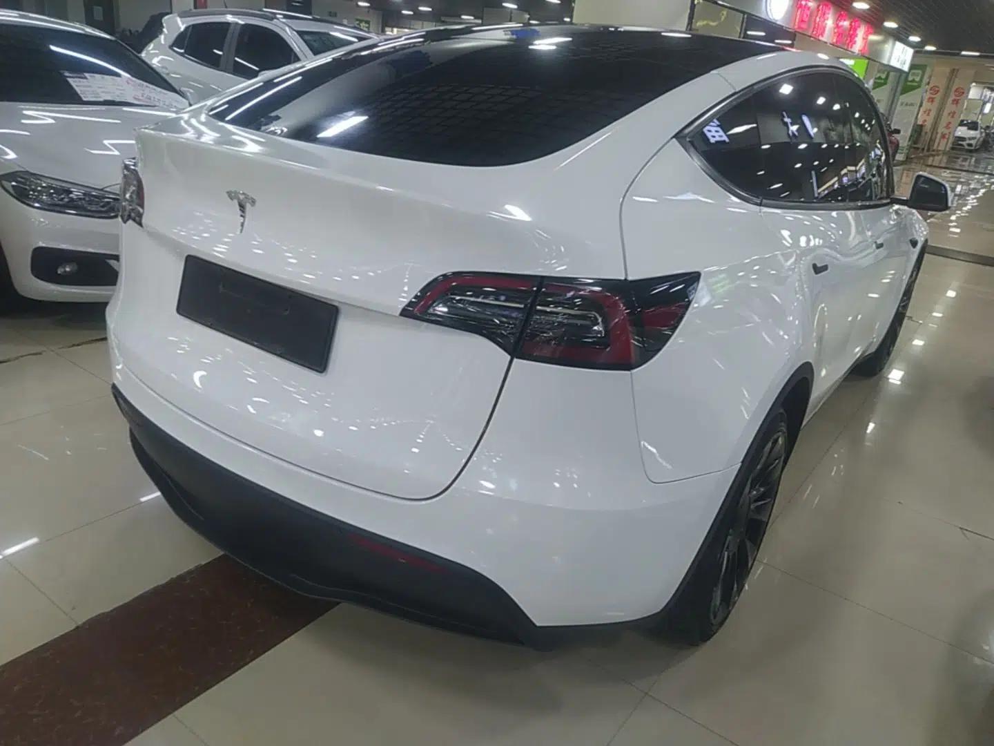 Tesla Model Y 2021 Long-Range All-Wheel-Drive Version — миниатюра 6