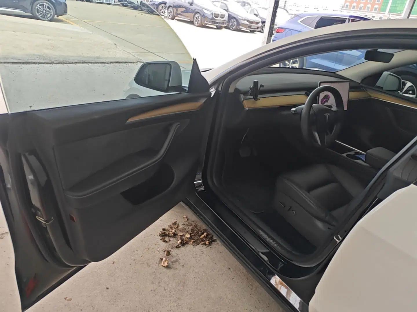 Tesla Model Y 2021 Standard Range Rear-Wheel Drive Version — миниатюра 18