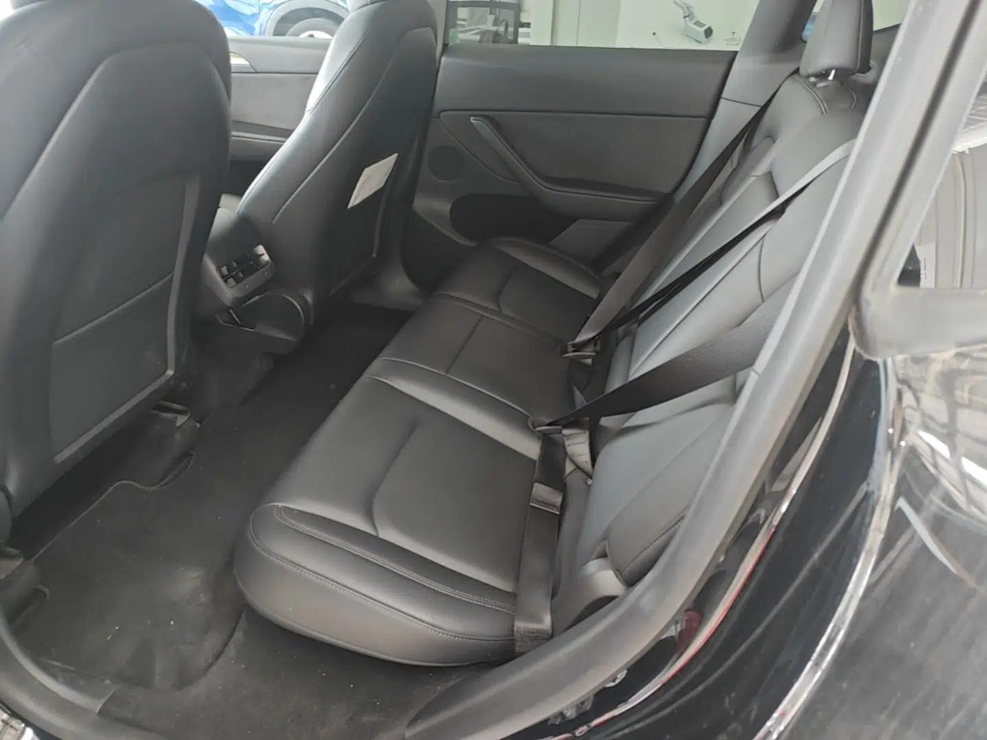 Tesla Model Y 2021 Standard Range Rear-Wheel Drive Version — миниатюра 20
