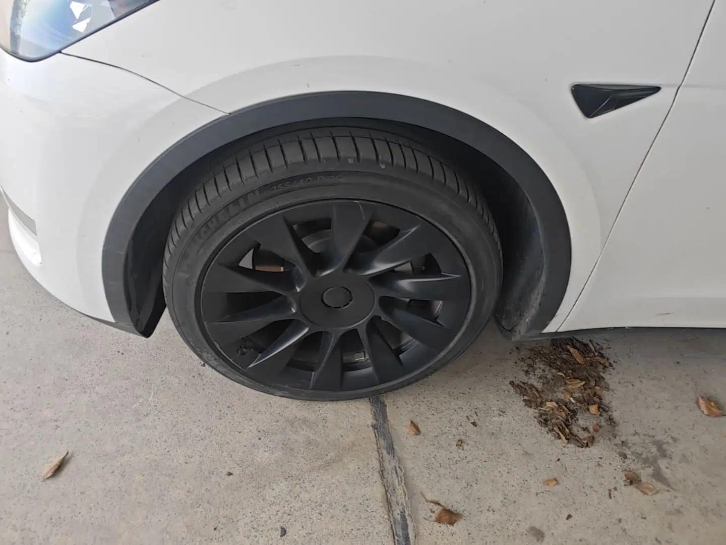 Tesla Model Y 2021 Standard Range Rear-Wheel Drive Version — миниатюра 10