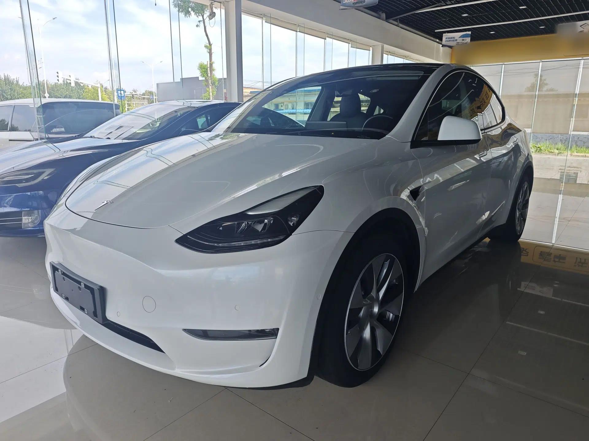 Tesla Model Y 2021 Standard Range Rear-Wheel Drive Version — миниатюра 1