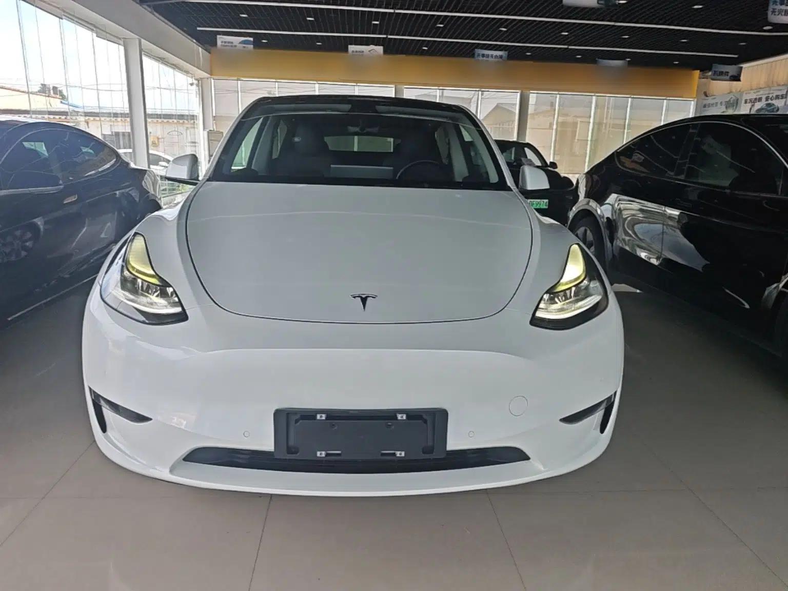 Tesla Model Y 2021 Standard Range Rear-Wheel Drive Version — миниатюра 2