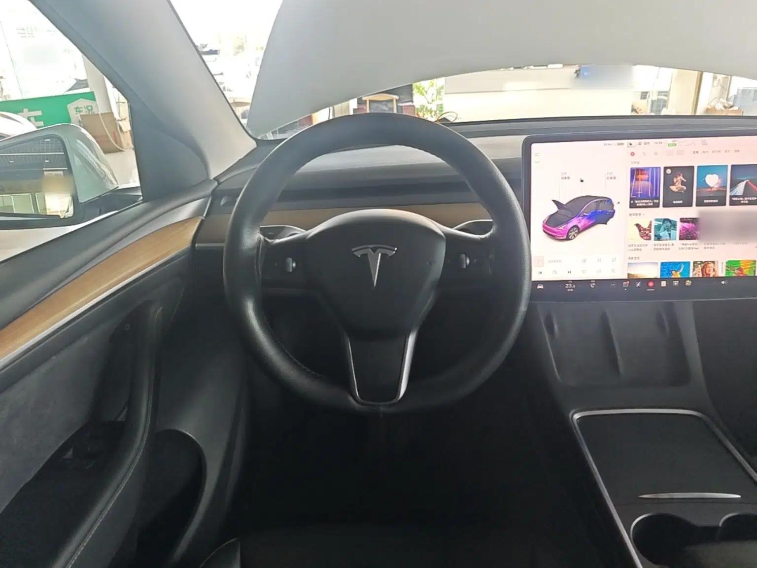 Tesla Model Y 2021 Standard Range Rear-Wheel Drive Version — миниатюра 13