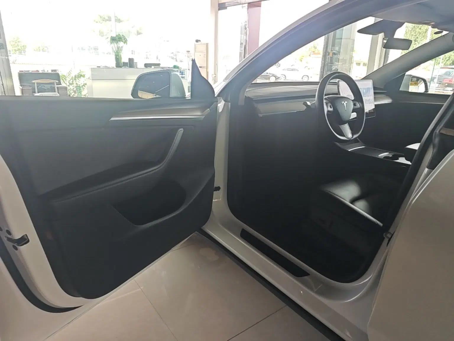Tesla Model Y 2021 Standard Range Rear-Wheel Drive Version — миниатюра 18
