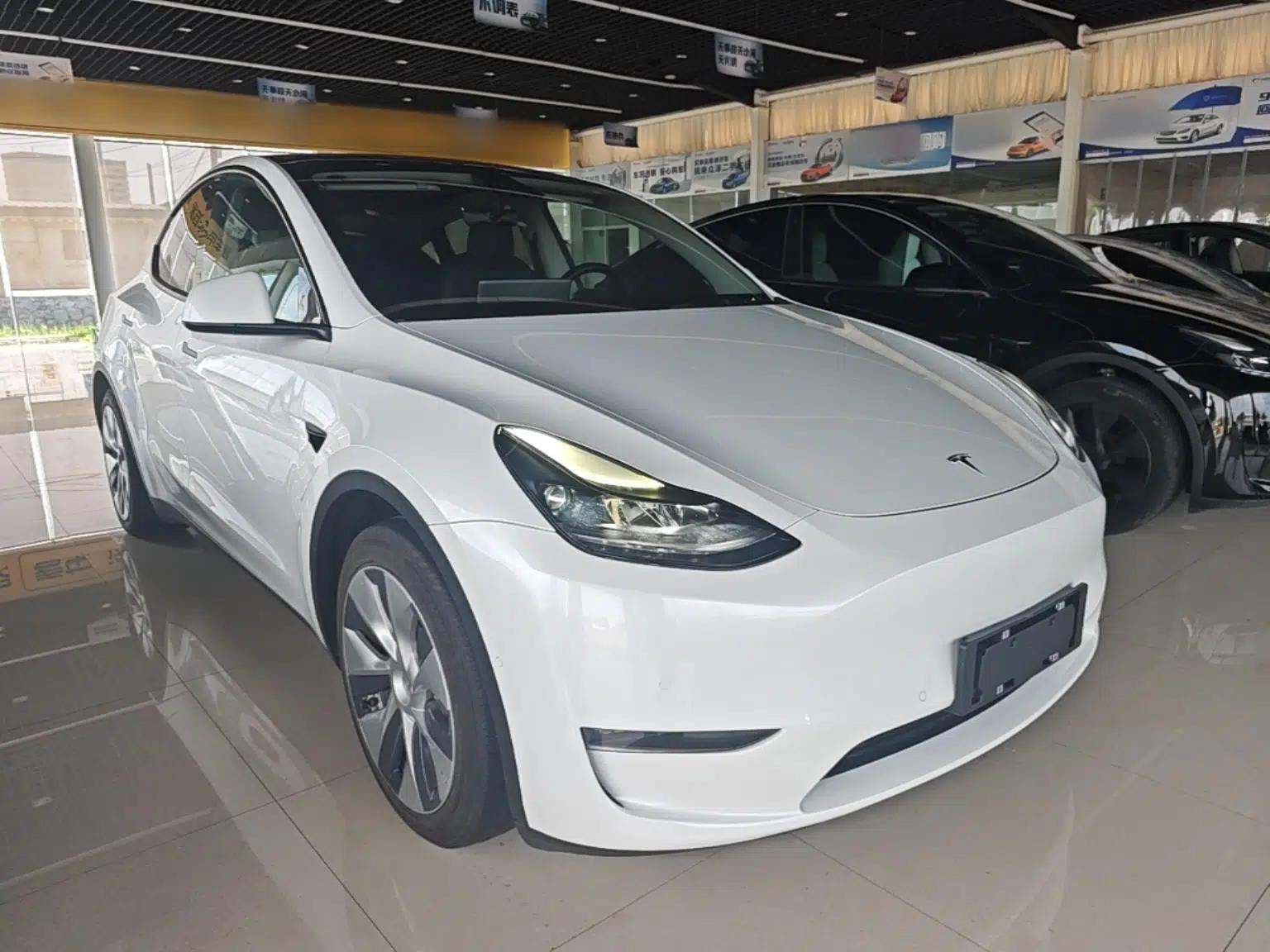 Tesla Model Y 2021 Standard Range Rear-Wheel Drive Version — миниатюра 3