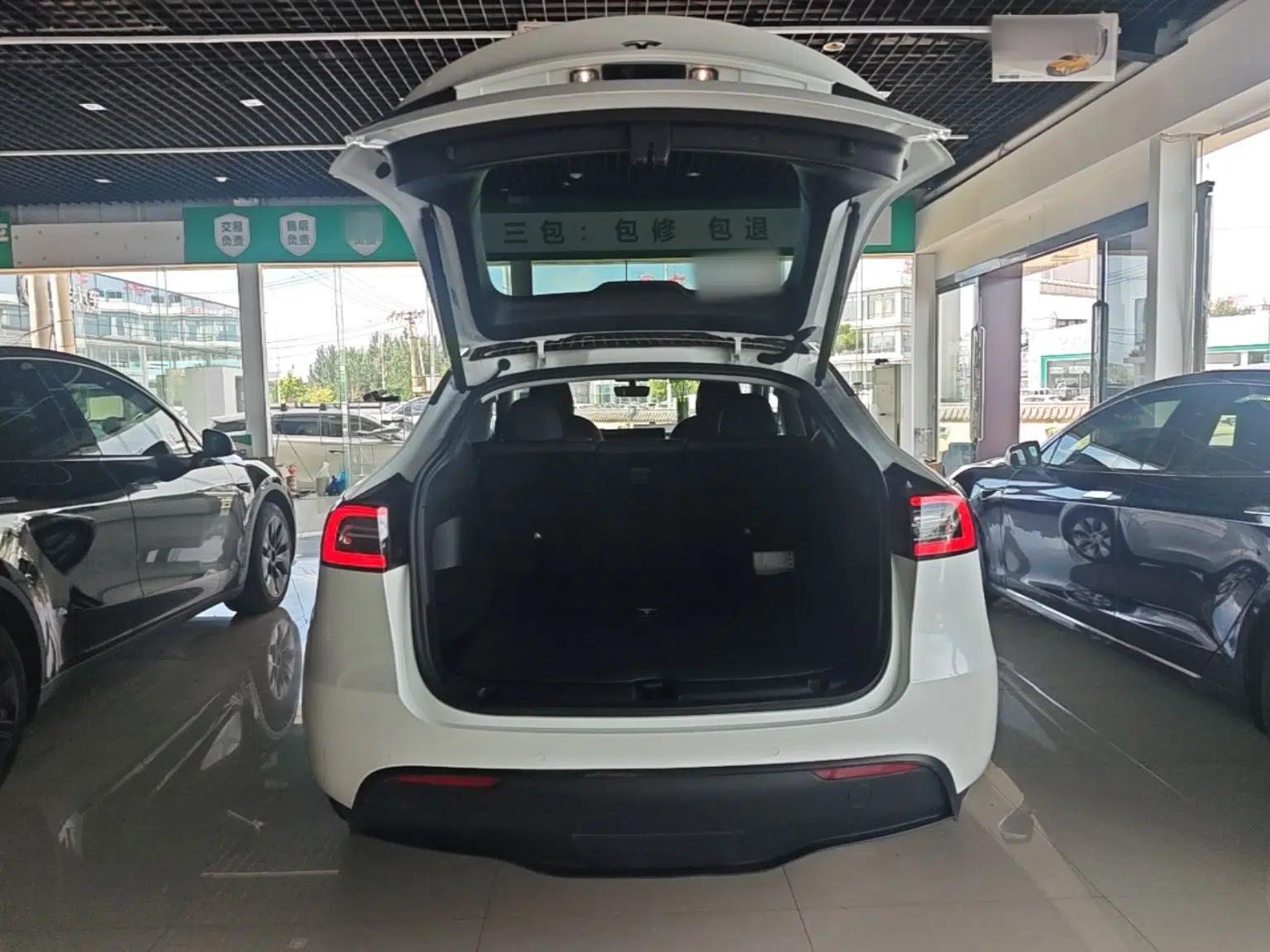 Tesla Model Y 2021 Standard Range Rear-Wheel Drive Version — миниатюра 22