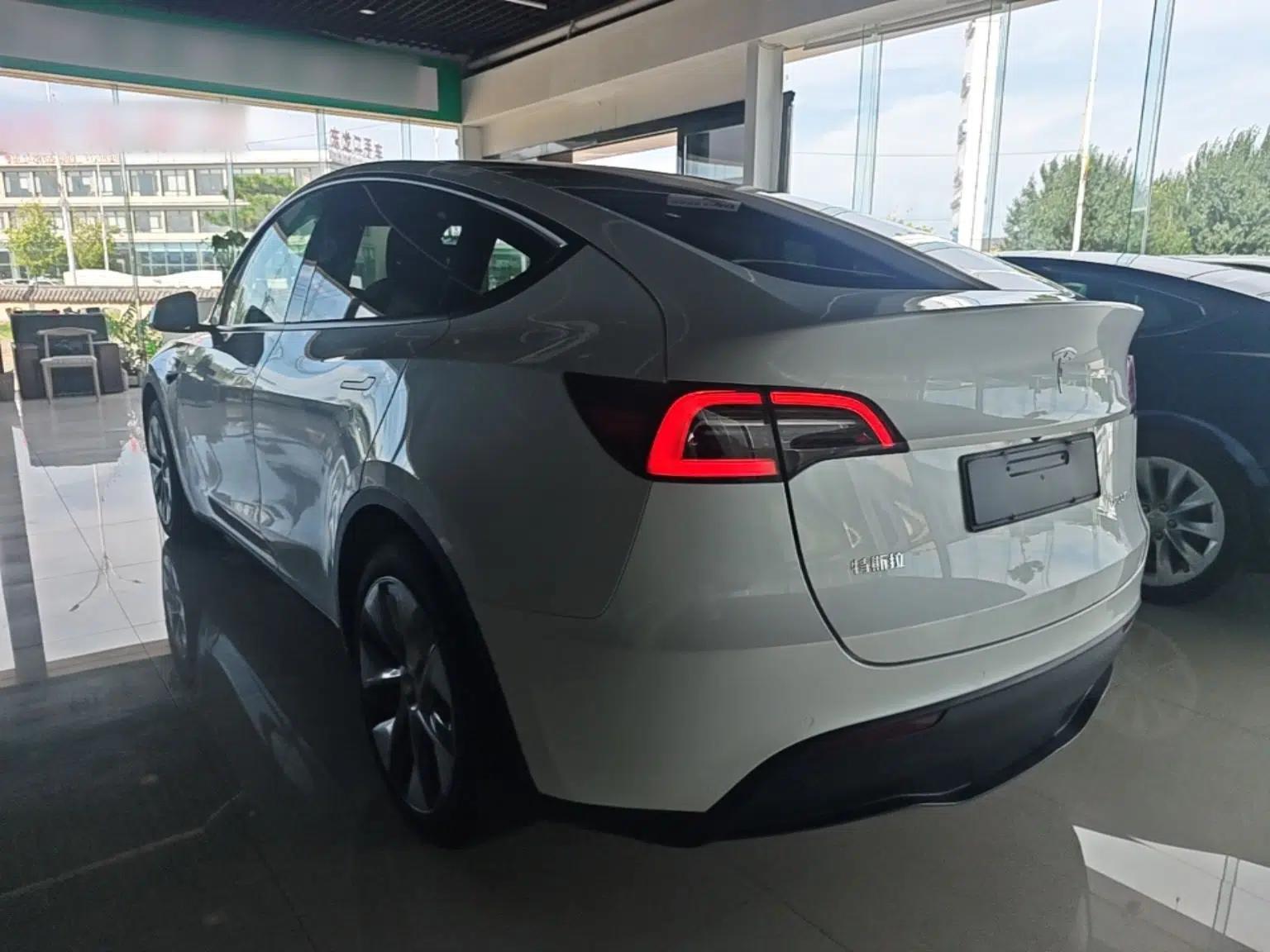 Tesla Model Y 2021 Standard Range Rear-Wheel Drive Version — миниатюра 4