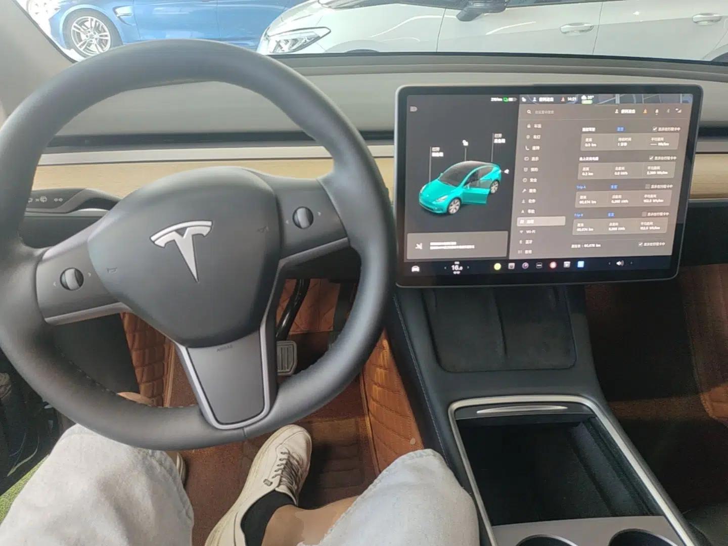 Tesla Model Y 2021 Standard Range Rear-Wheel Drive Version — миниатюра 12