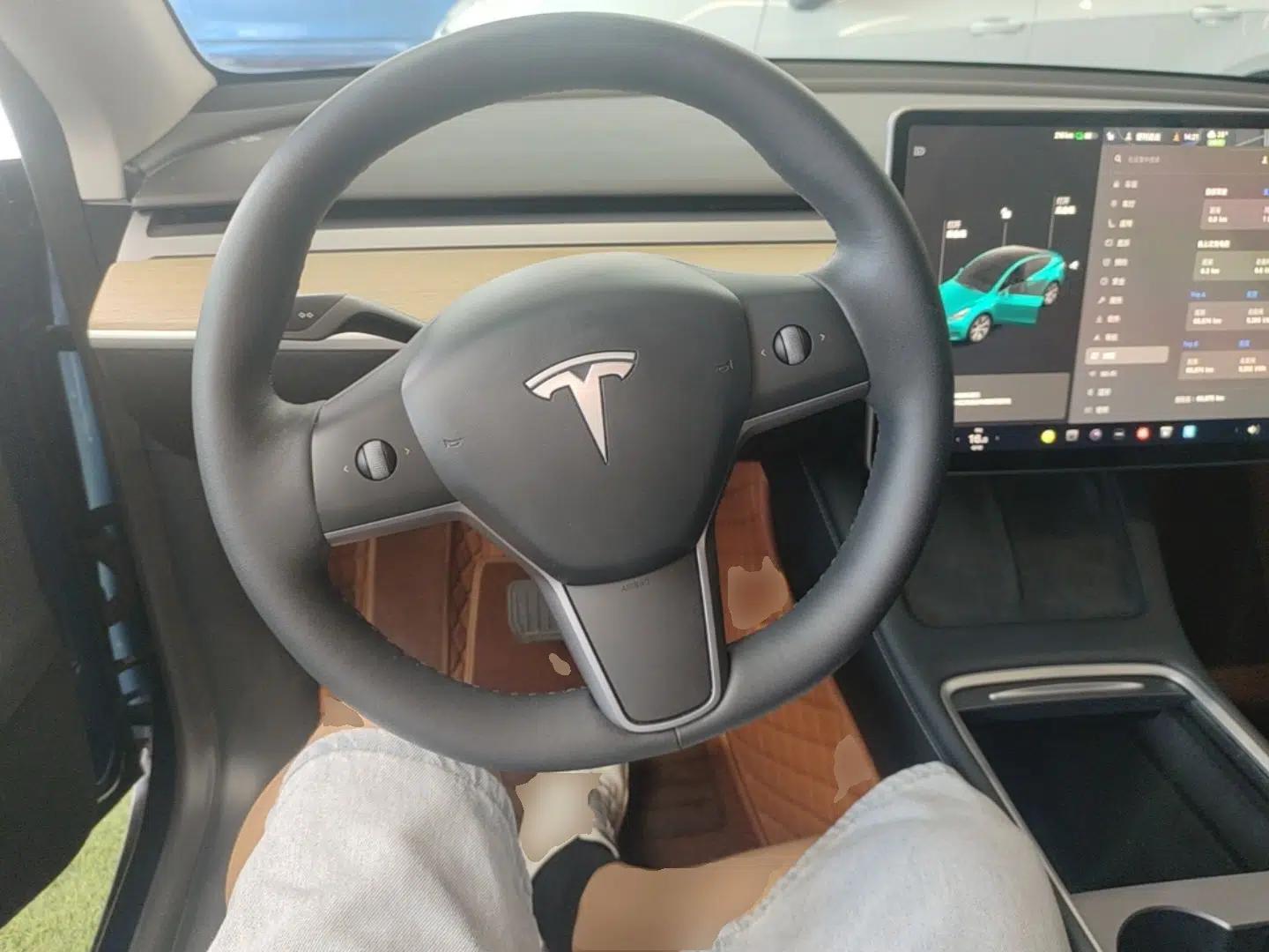 Tesla Model Y 2021 Standard Range Rear-Wheel Drive Version — миниатюра 13