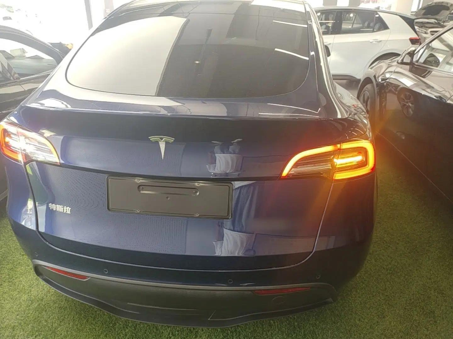 Tesla Model Y 2021 Standard Range Rear-Wheel Drive Version — миниатюра 5