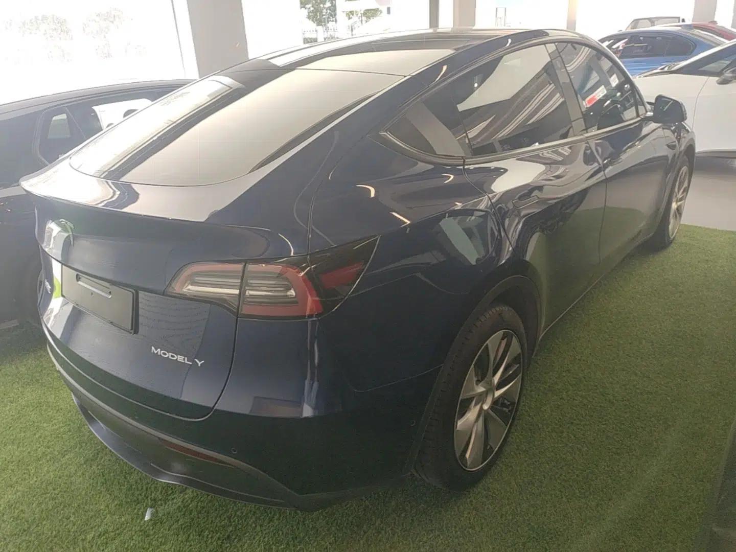 Tesla Model Y 2021 Standard Range Rear-Wheel Drive Version — миниатюра 6