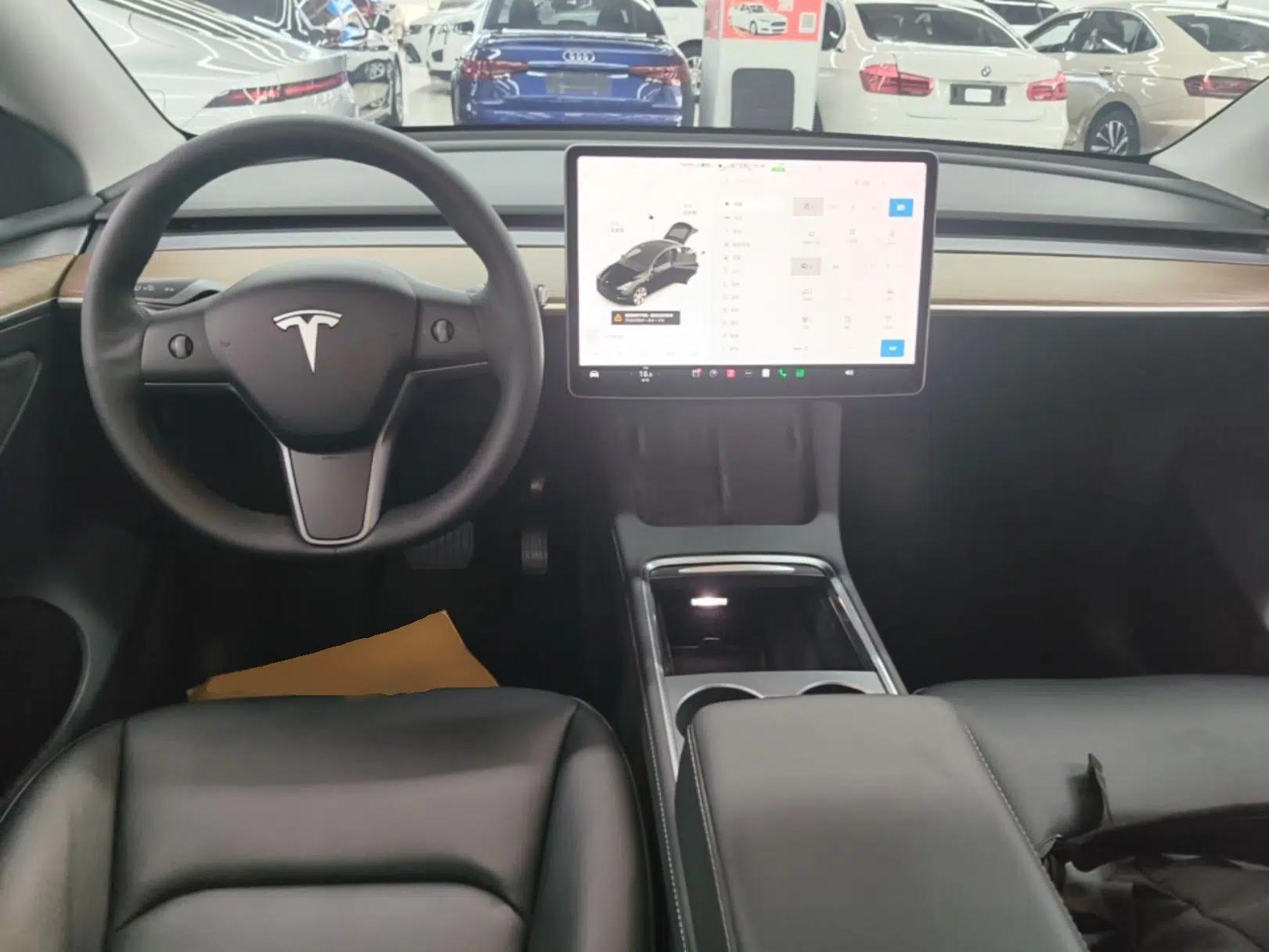Tesla Model Y 2021 Long-Range All-Wheel-Drive Version — миниатюра 12